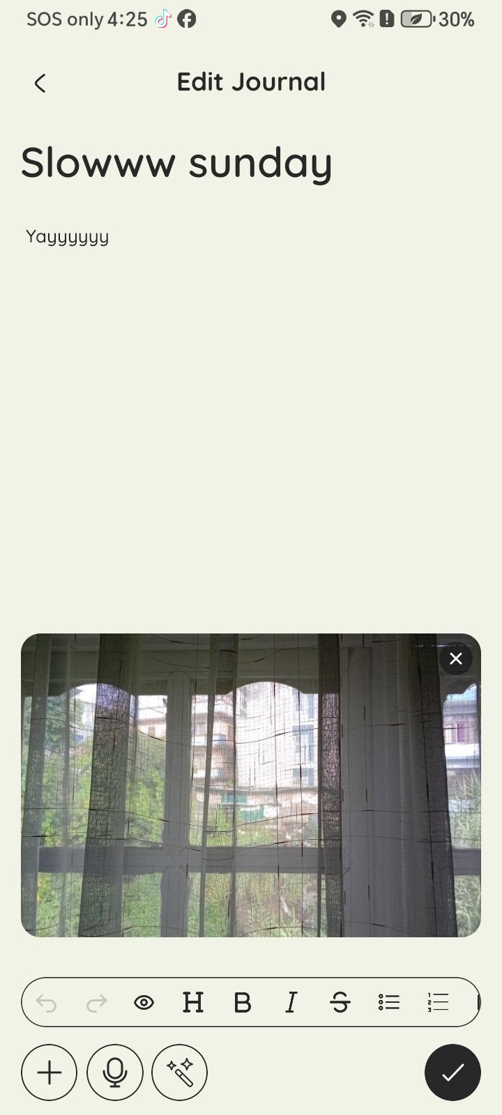 The Zournaly entry editor with formatting tools, a photo attached, and voice and AI buttons