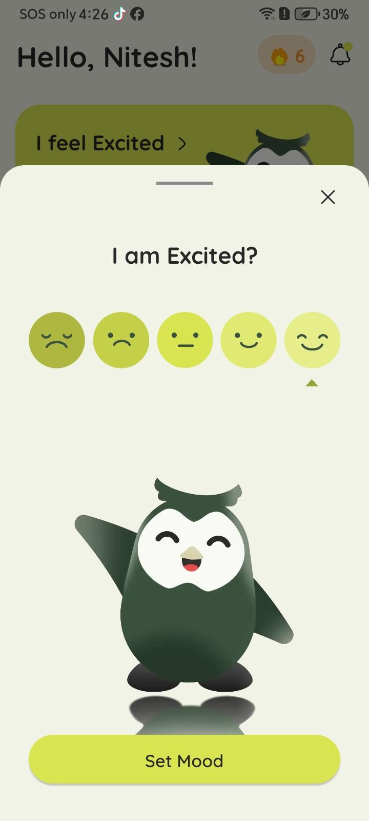 Zournaly's mood sheet with a five-point face scale and the app's owl mascot