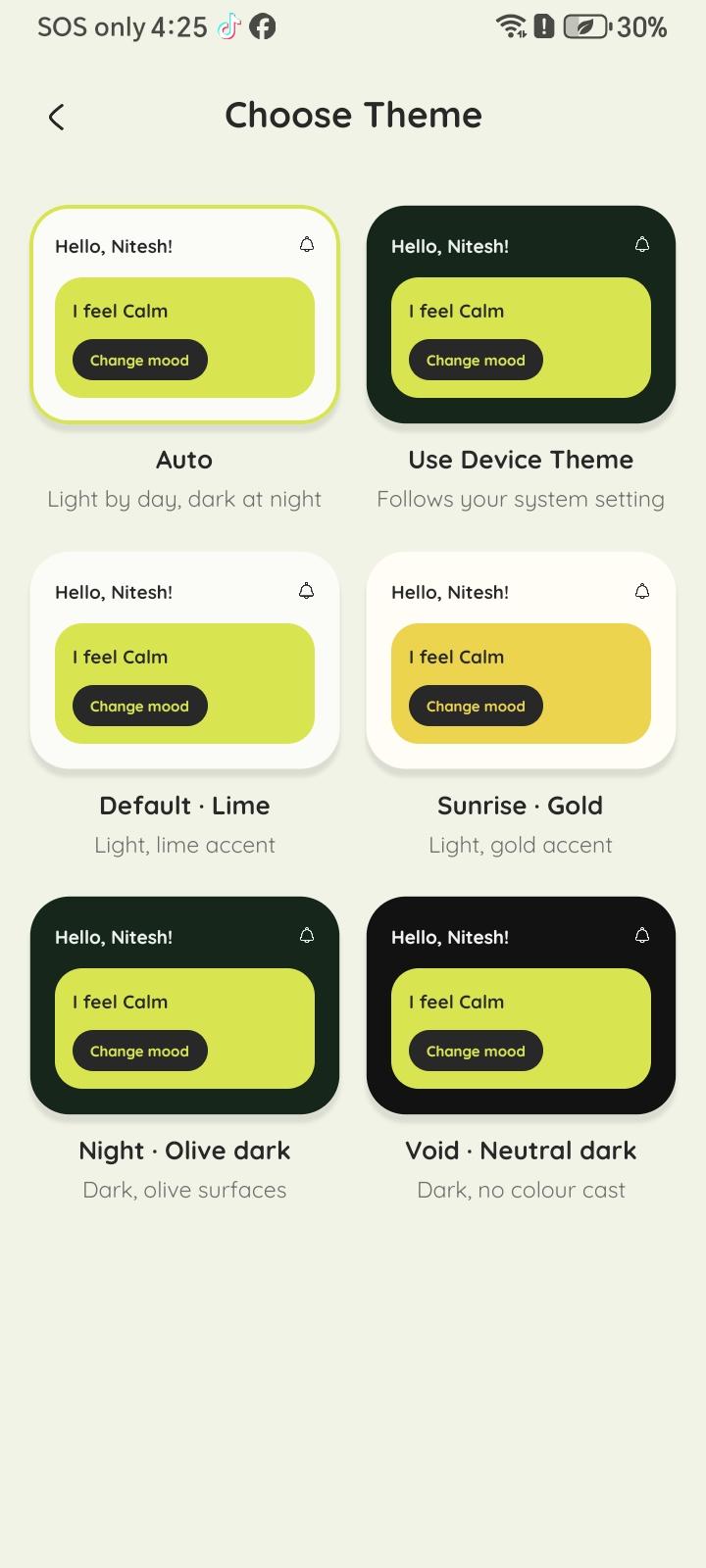 Zournaly theme picker showing six light and dark themes